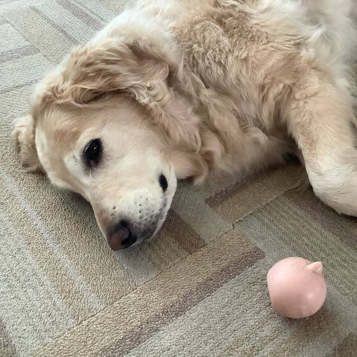 3c8fa88e 0695 4acb 8b5f 58e7fbef27d3 1591308044283