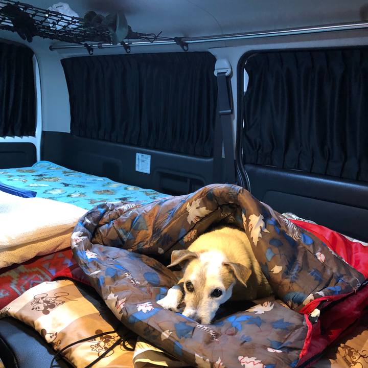 3c8fb9f4 320e 4331 af6b b6c6d5eeec04 1570368658287