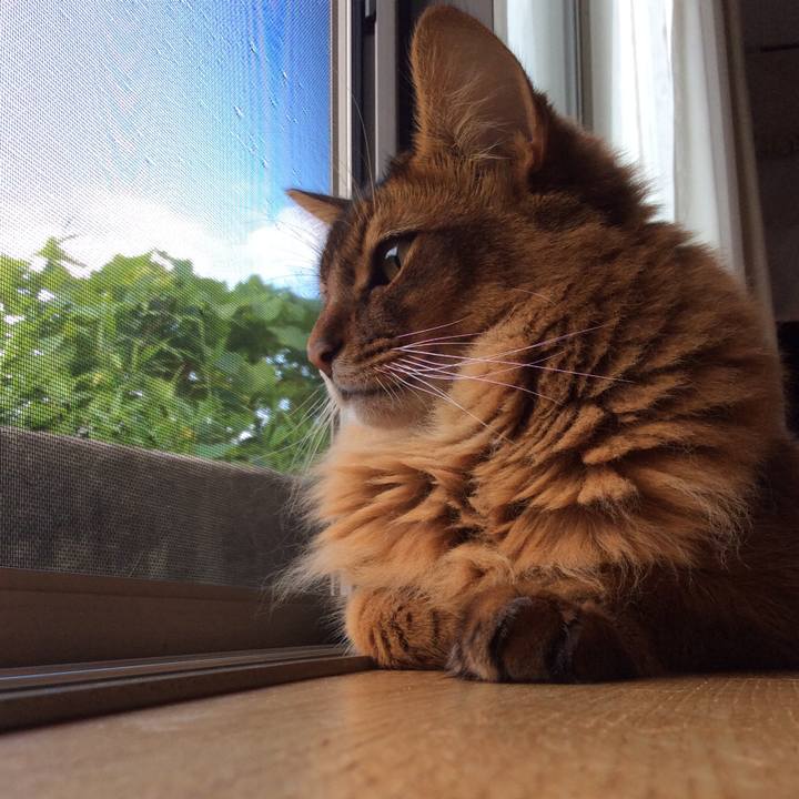 3c8fc392 3535 4673 9648 e31d966b2419 1627191437610