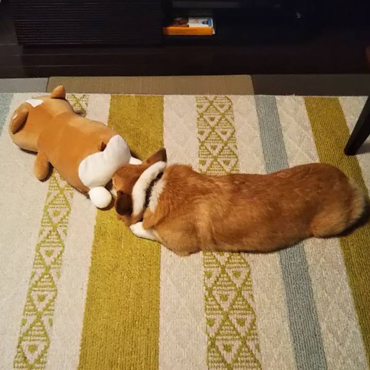 3c8fe146 8de4 4139 acd2 fb35bbda23ea 1644894410460