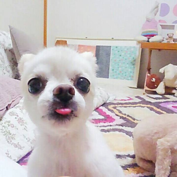 3c900125 2ffc 4c42 bcfb 4de5867004c6 1570619300716