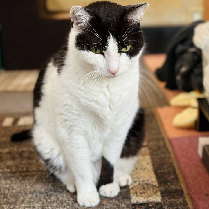 3c900384 ed54 4e69 9de4 0015c3214d7d 1713059735358