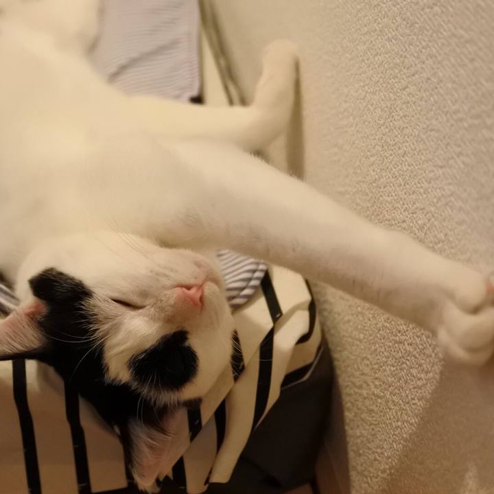 3c904d73 6dea 4219 bde2 743a68f8ad73 1526825338772