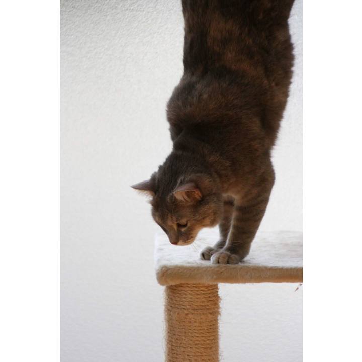 3c904d84 a4e3 43ee a772 21d2db2f3063 1539688061838