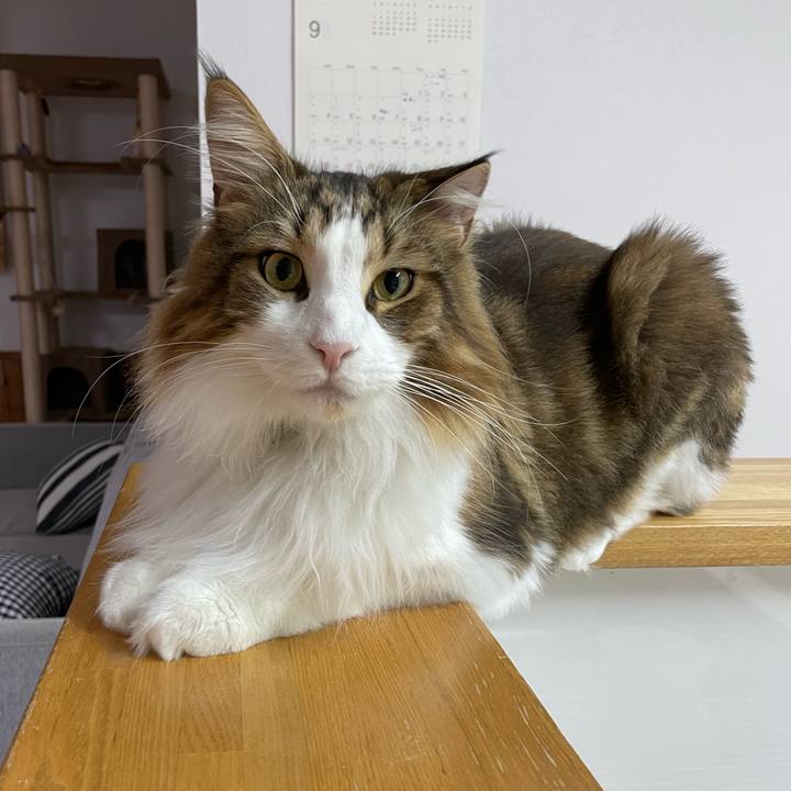 3c909241 b35f 48d2 9c4c 70ca87fd4cc2 1664913585609