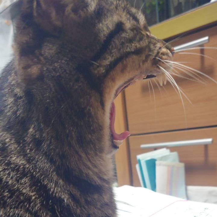 3c90ad19 fbdf 4606 b49f 7fcf1125bfd4 1708007933459