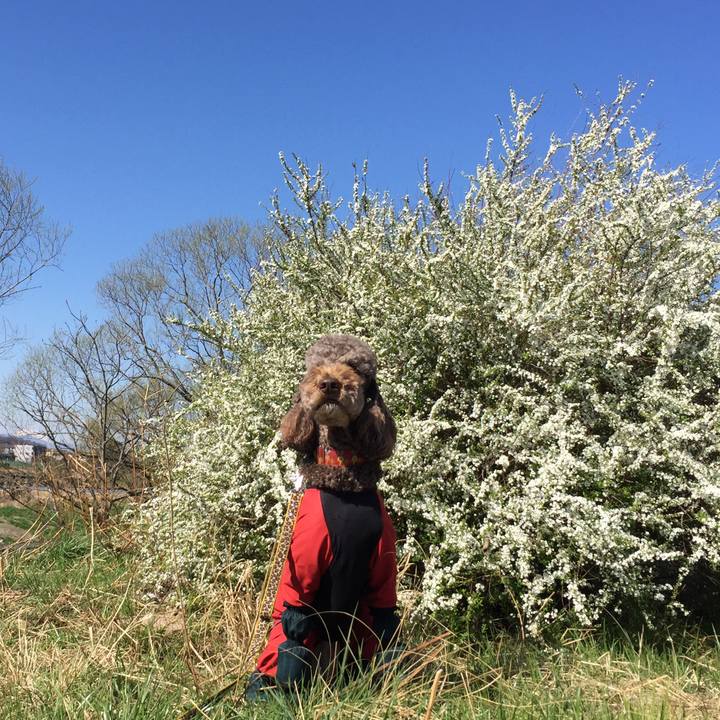 3c90ba0a c891 4901 afb7 11473ea2fd38 1521263982139