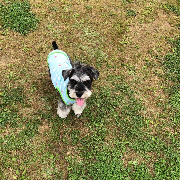 3c90dd4e ebea 49d7 bf27 a4c808b2fc19 1655546097395