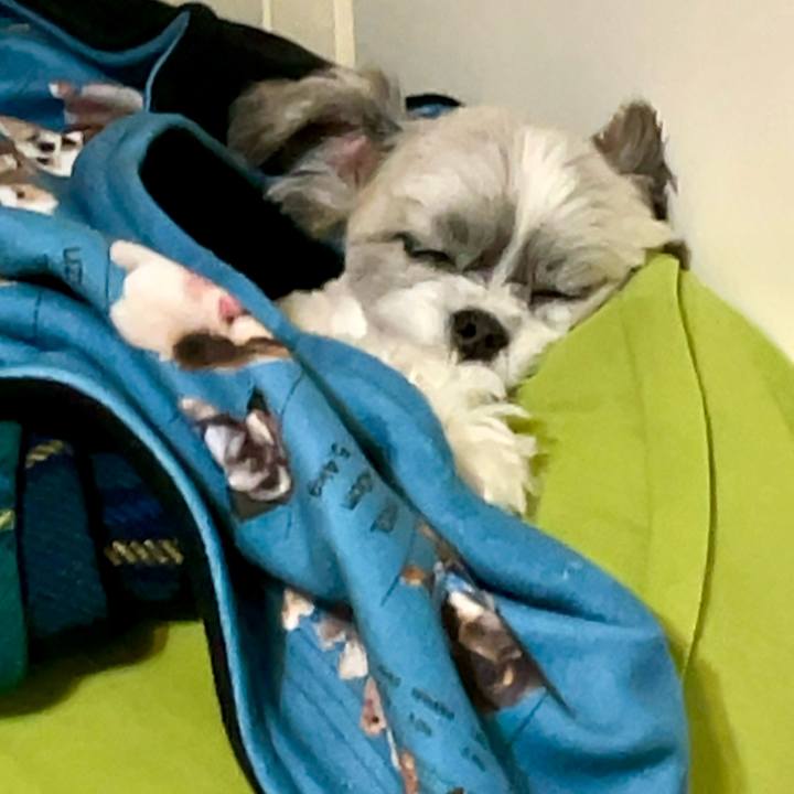 3c90e9e3 a006 4e29 b927 8e47befa45d9 1704935422040