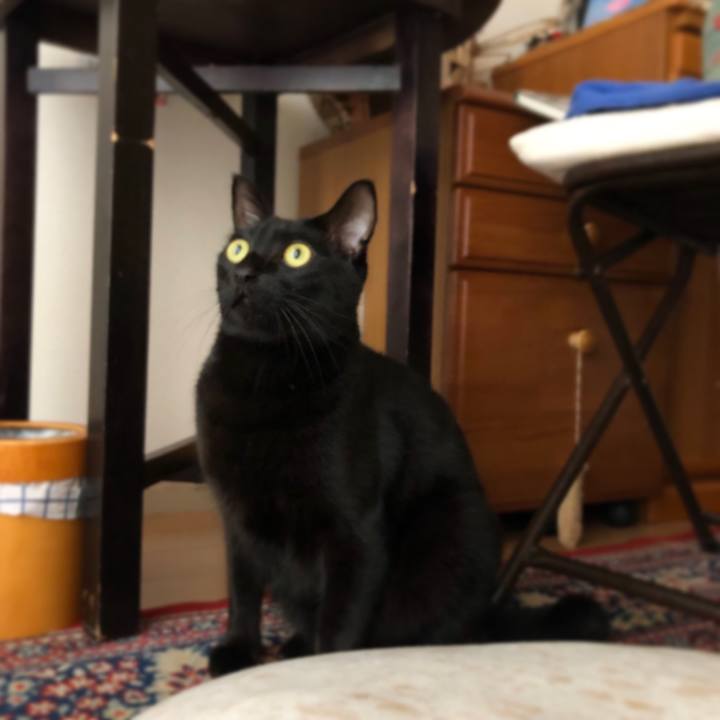 3c912c87 2ed1 4ed8 9544 e71dee7cfd60 1545520472283