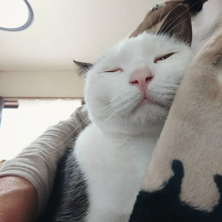 3c913097 fddf 4d0e b07c 347457570c50 1511322833833