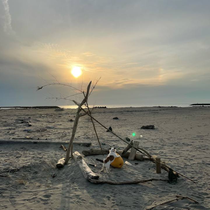 3c91332b 2ccc 4bc4 bfda c8ce4d7f4082 1615537863216