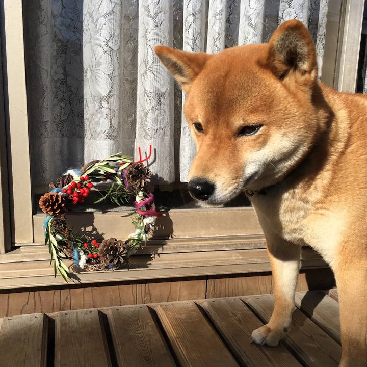 3c92153b bee3 47de b791 a71365feefa4 1766575202634