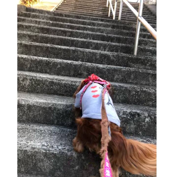 3c923a0b 0166 41af acdd 5211bba9bc0a 1645654892421