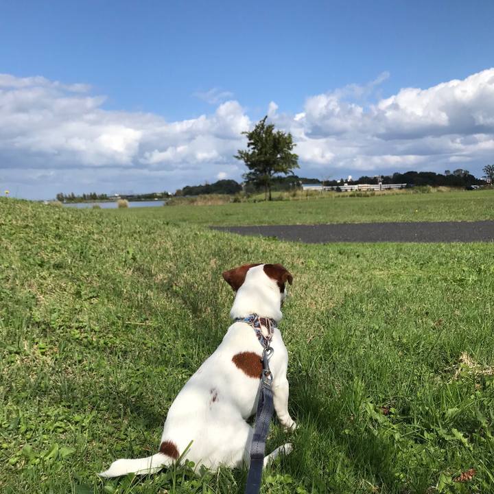 3c9249c3 7386 4651 8421 7a51a7391c29 1541148343780