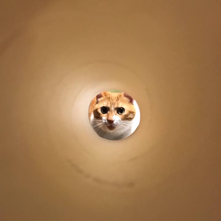 3c926e57 0f10 4ebf 8fff 069dbd489d9b 1570530974737