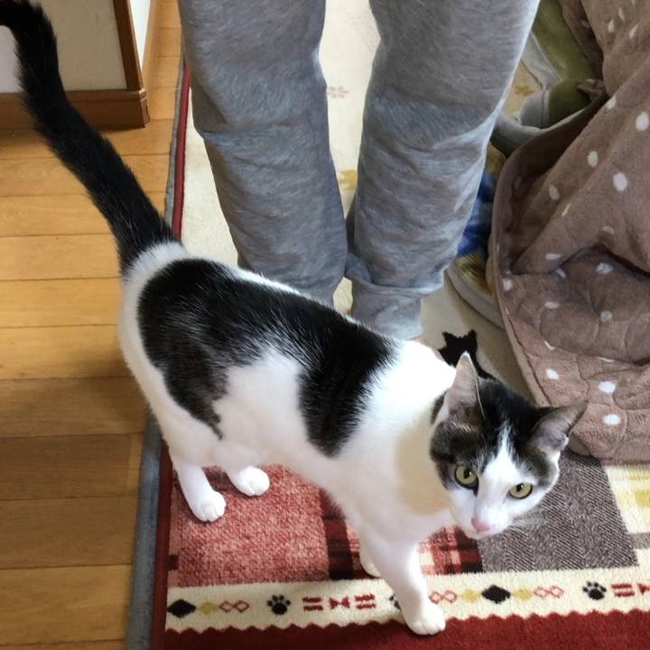 3c927bec 6f4a 4f65 8924 e6d627e2ccef 1678696589653