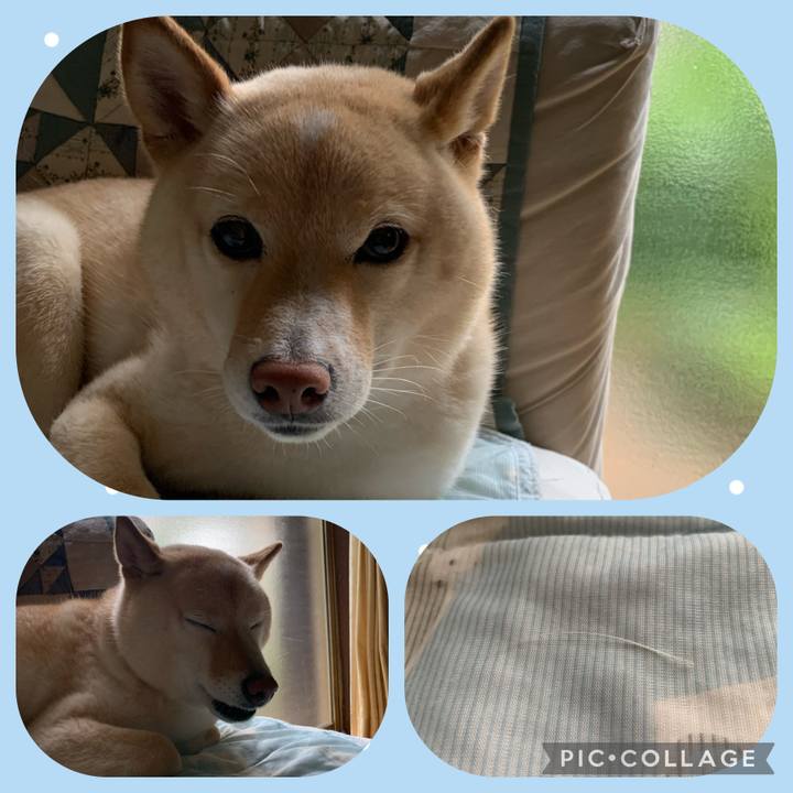 3c928885 bbac 43a2 8750 cf3ee041f1de 1656894916466