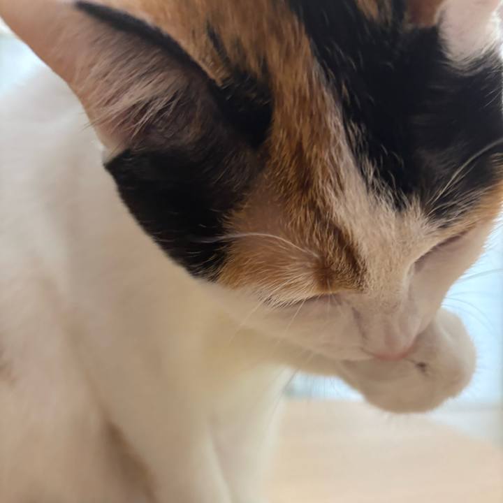 3c92aec5 64f9 4a9e 8c3c 41211a1e3615 1772593858857