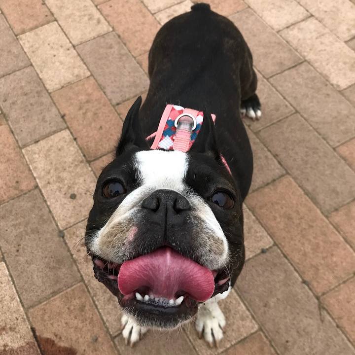 3c92b93a 3a44 44da 84b4 cb0a0442e800 1685108963065