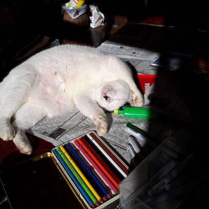 3c92c6ef a98e 4555 8e42 1e6a952dd342 1571393474730