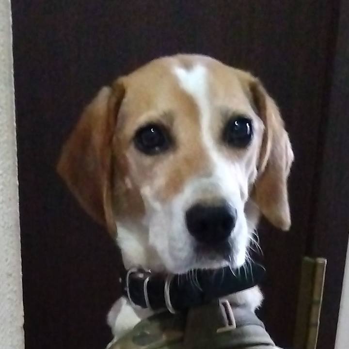 3c9307f1 1494 4a72 babf b3c31c6d2b07 1691408698196