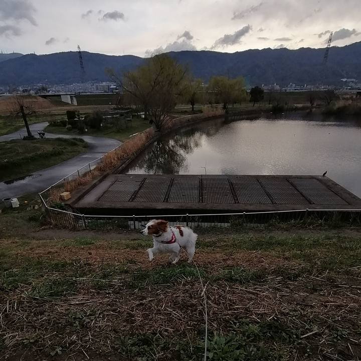 3c9313ea dd75 4600 a9ce 7640c80bba76 1584316855935