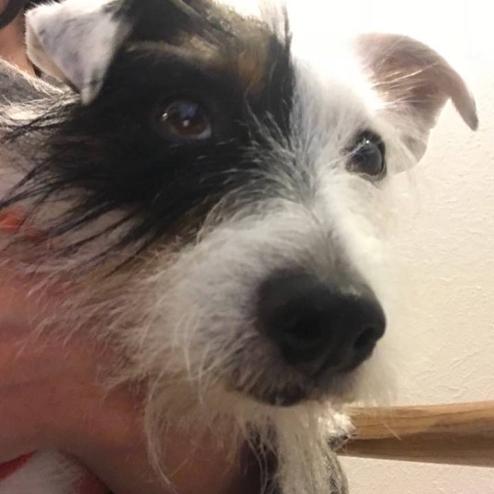 3c935a9f 5a5c 4408 b66b eb6688fdf69c 1511445917864