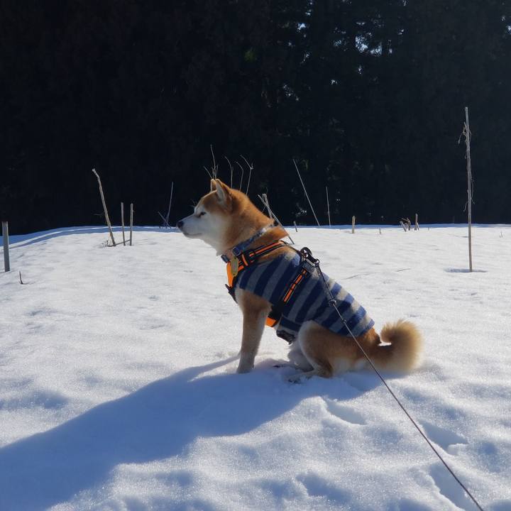 3c935ee7 453b 44e0 8dd1 e23ae8ca1270 1582263795150