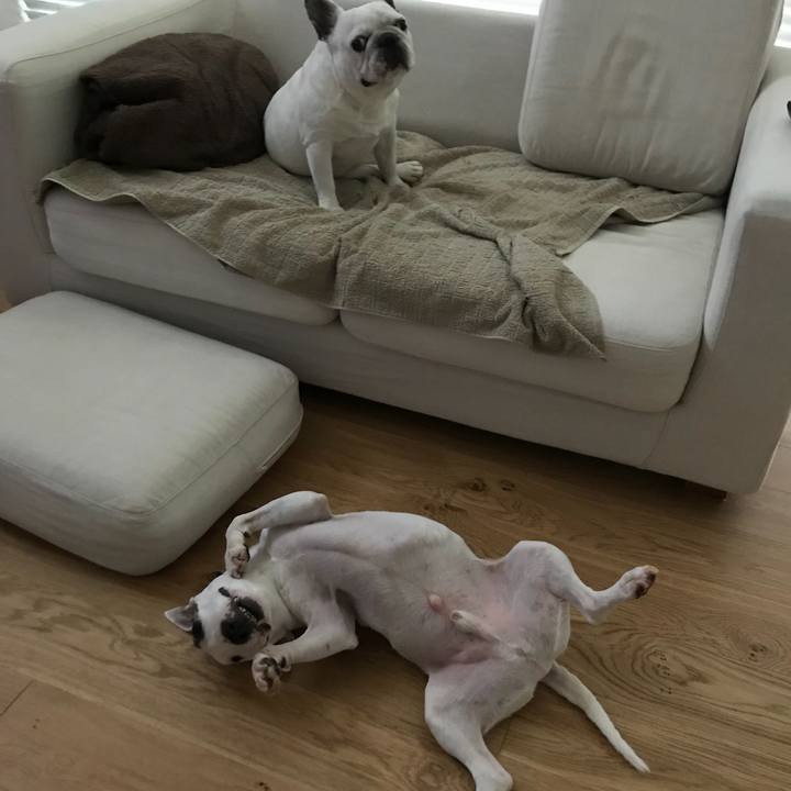 3c936e61 f59c 4819 a3ce 339a7512bdd4 1568279392307