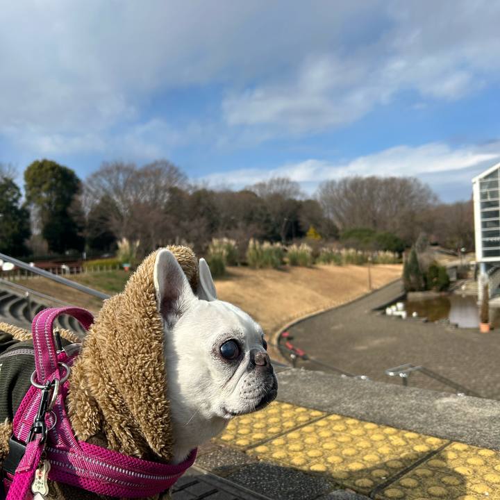 3c93a354 a6ff 4c74 9a81 94ba0bc6bc5f 1737794980473