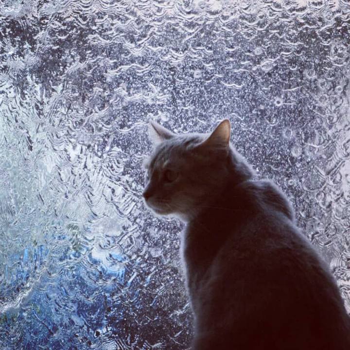 3c93e59e 75ed 45c1 82ac 440d202eb168 1557475601031