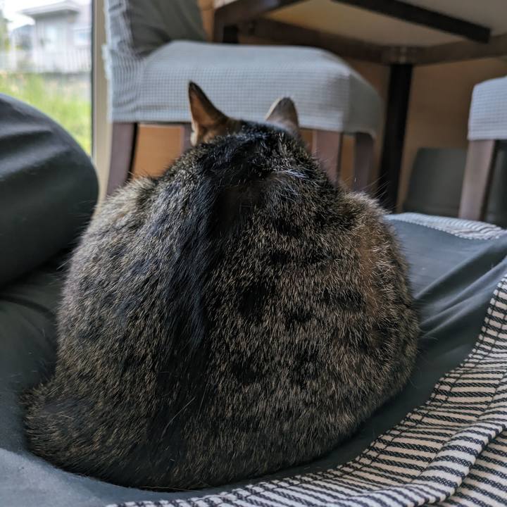 3c941a07 6733 4fb5 8d9e 5681aadb863a 1691307771039