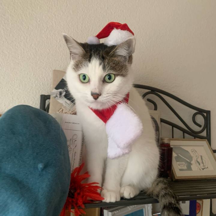 3c94332f 044d 486c b935 5511d958b7ff 1703569228432