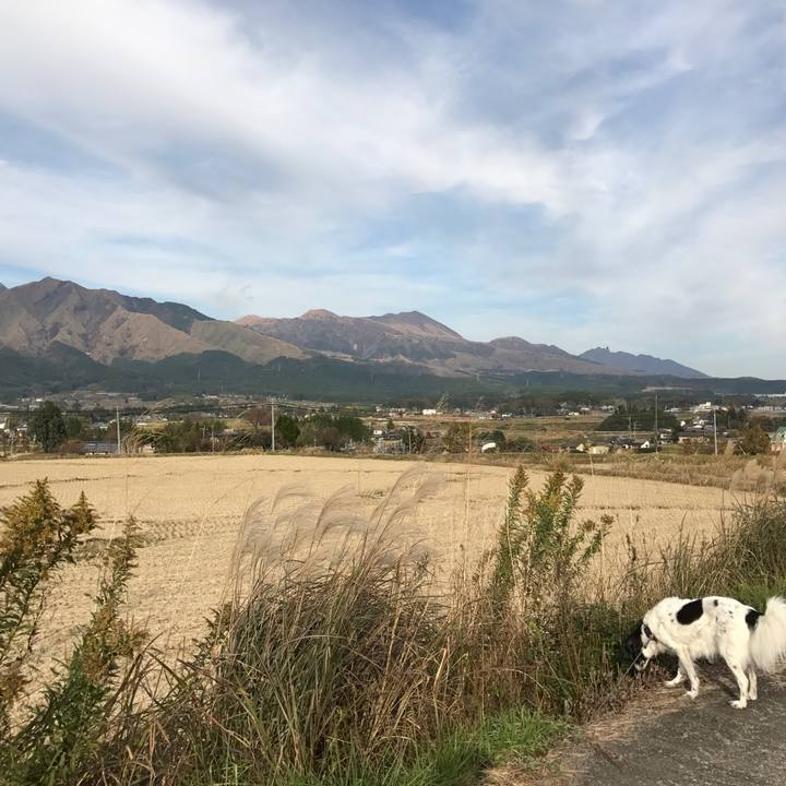 3c9434fd a6c9 4c6a ba4f 55181bfe7d80 1511313066883