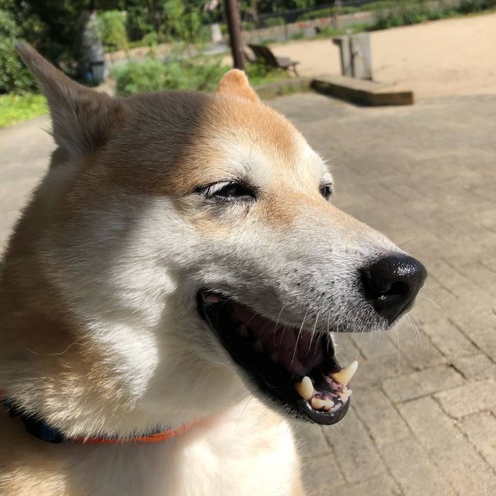 3c947fea a7da 4805 bb80 4949088ae65a 1601610240974