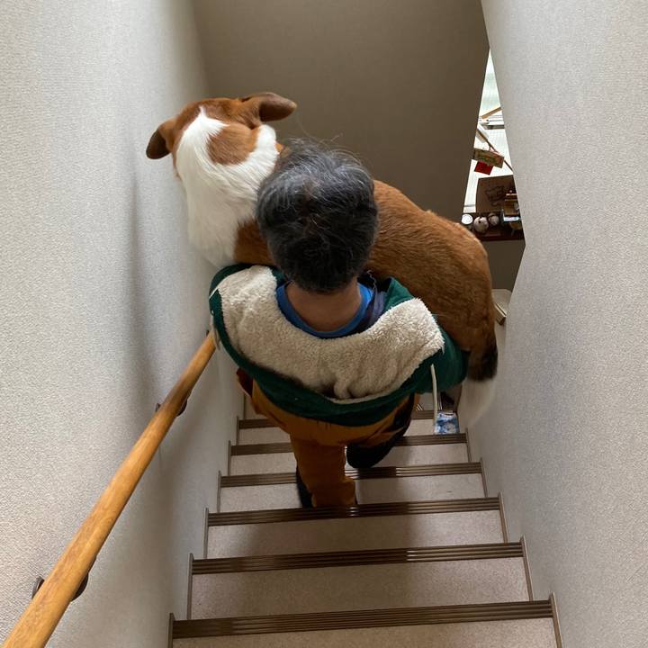 3c94bab8 7979 4cd9 aac2 58da2ac935bb 1680225690911