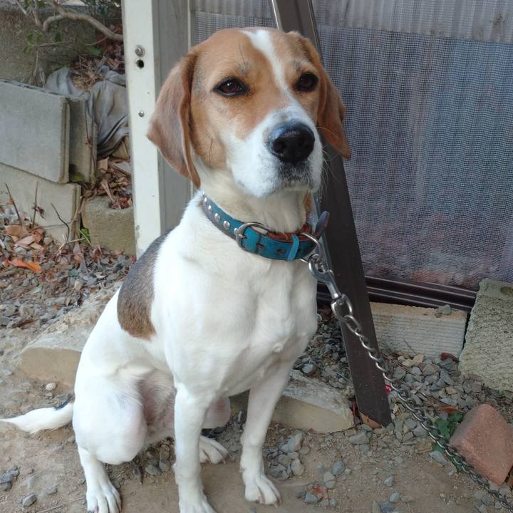 3c94c771 3af9 49e0 a704 fcb353728bda 1610894985119