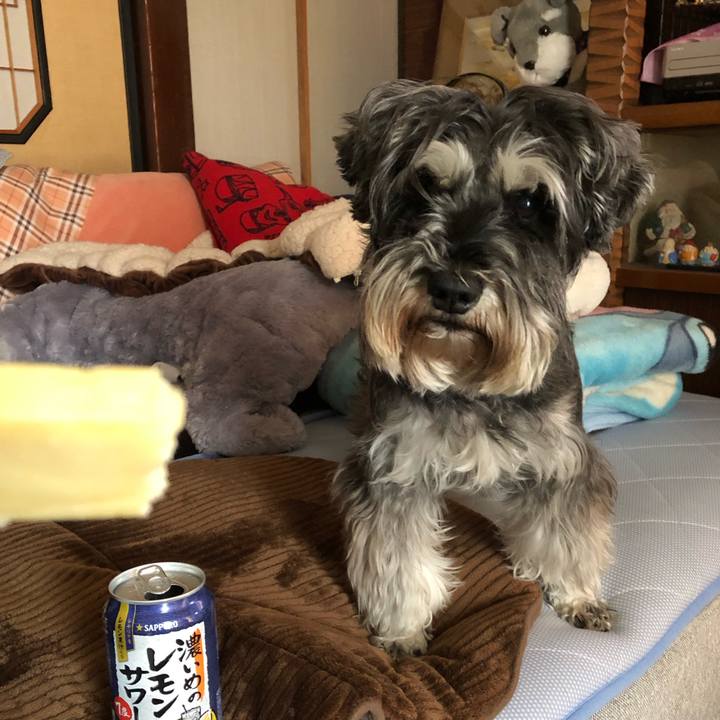 3c94cb77 6230 4d58 b476 4ebbc3d49441 1622384807879