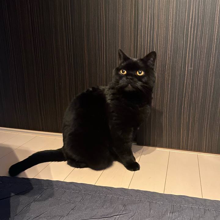 3c94ccef a3b8 4c43 9dfc c6fe31e5b823 1774099318379