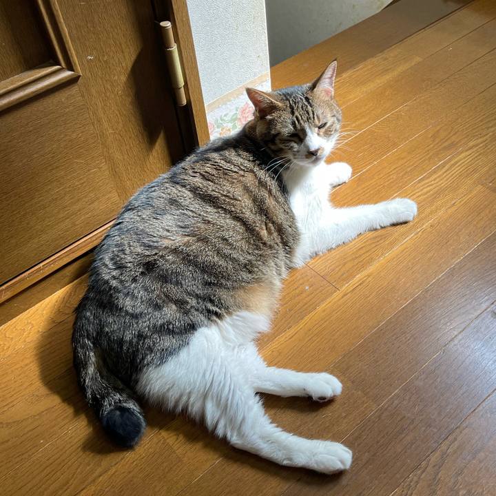 3c94f7b4 4428 4949 a984 8ea5650edab5 1754189735123