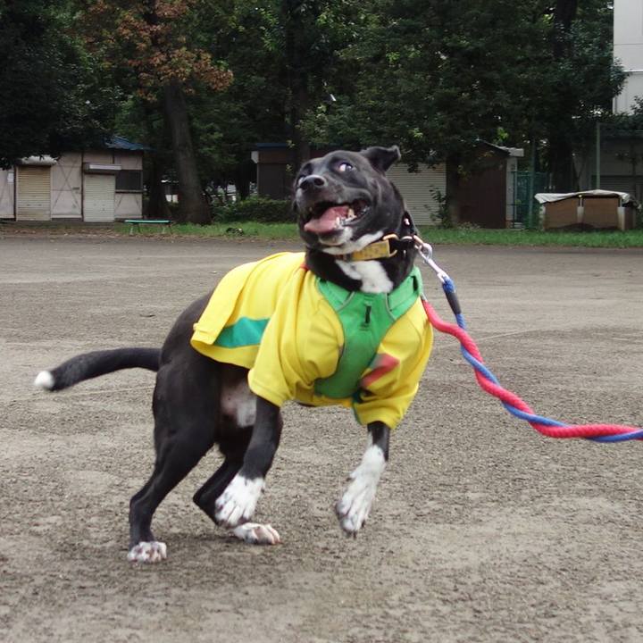 3c9520b1 89ec 46aa 810e e2890088e88a 1599433649195