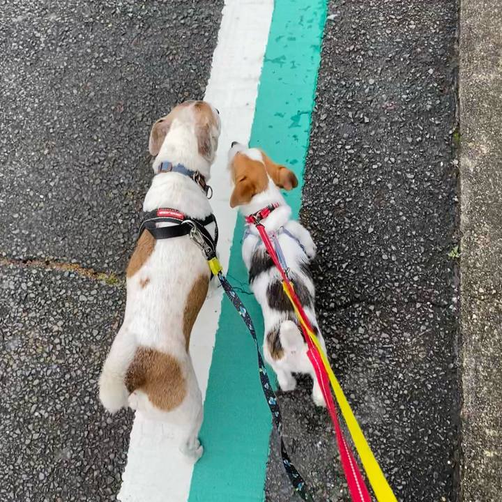 3c953b97 f454 47da a547 ef2f3198d227 1615167959718