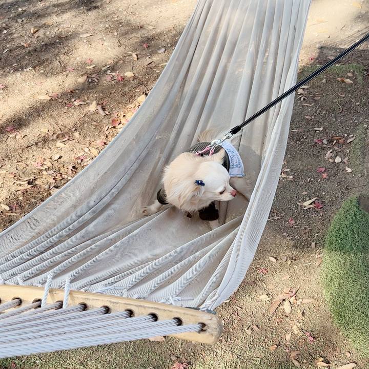 3c953e81 a8d0 4e69 839d 3f280189c496 1701589667378