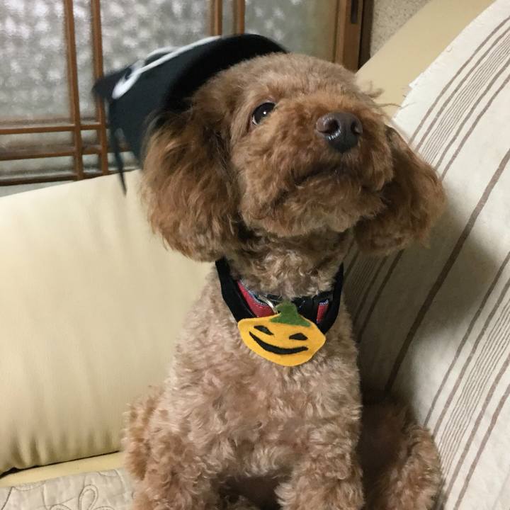 3c953f91 6a37 4c7b 8092 d480b3fc9fc8 1508030051335