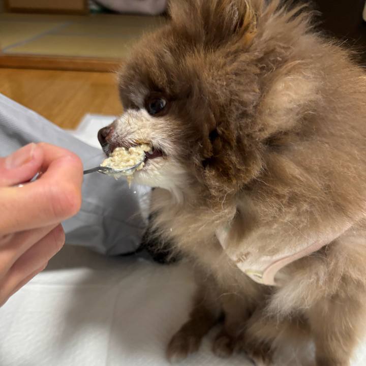 3c9544b4 ab69 41f9 a2e6 e6a0155bebd7 1768940783809