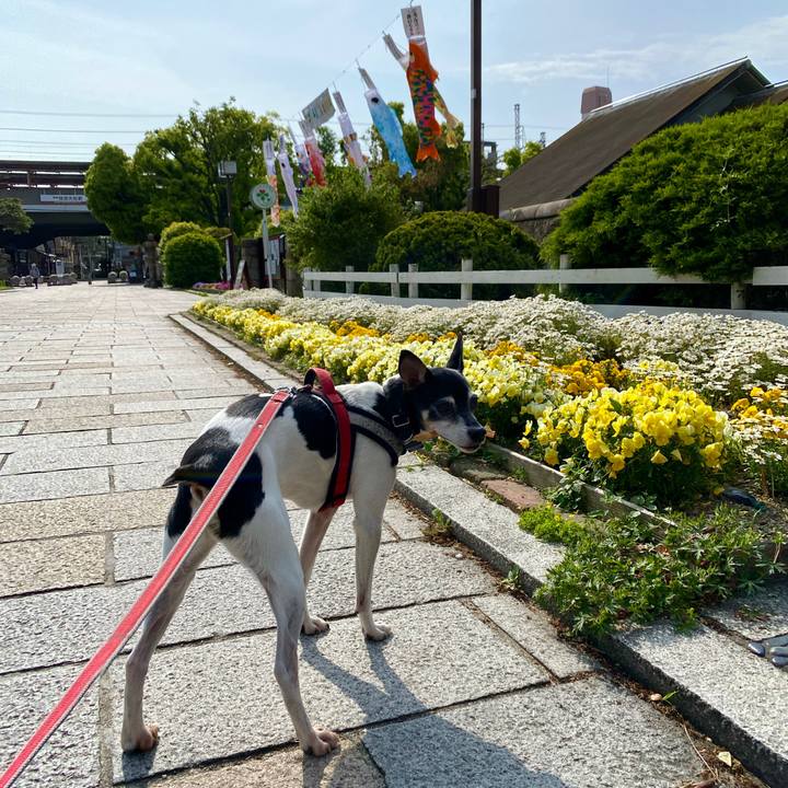 3c954e07 5676 4969 a6be a0bfa72c1d90 1588639648610