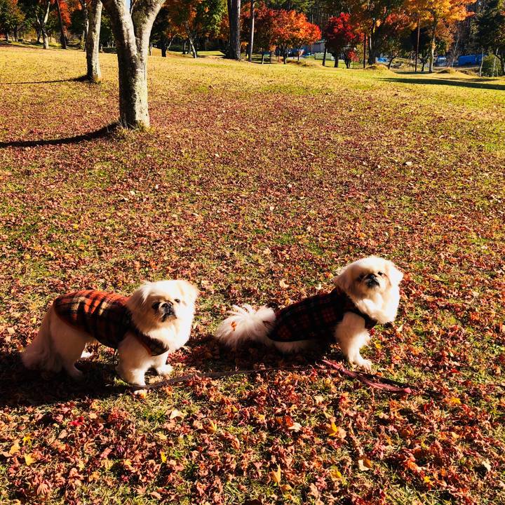 3c955342 672e 4b24 ad45 6905ea3a6676 1572870860942