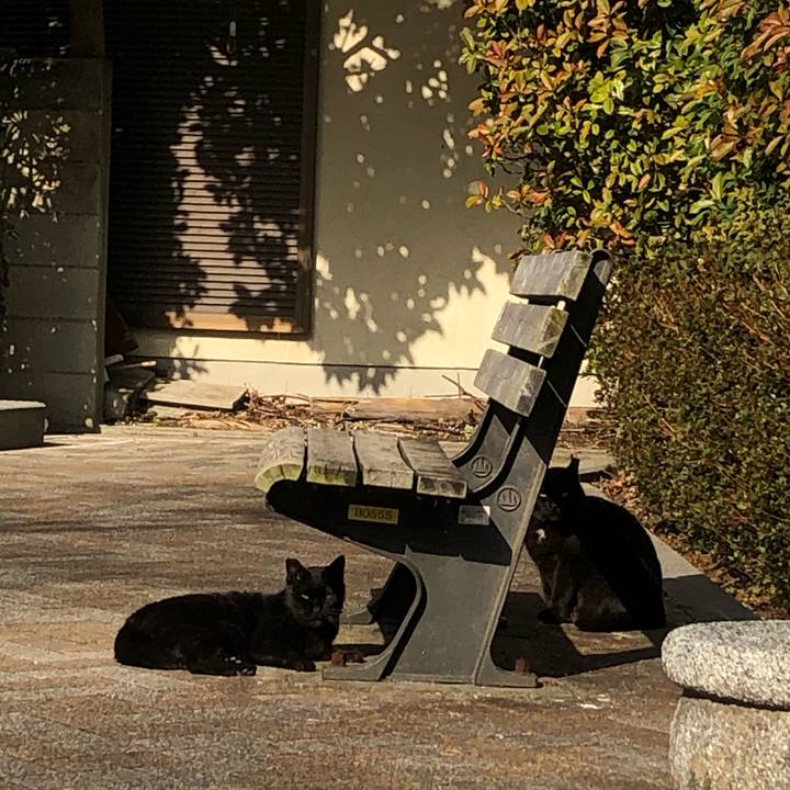 3c95644e bb89 4f6f 97ad 611292ac0f01 1646724959695