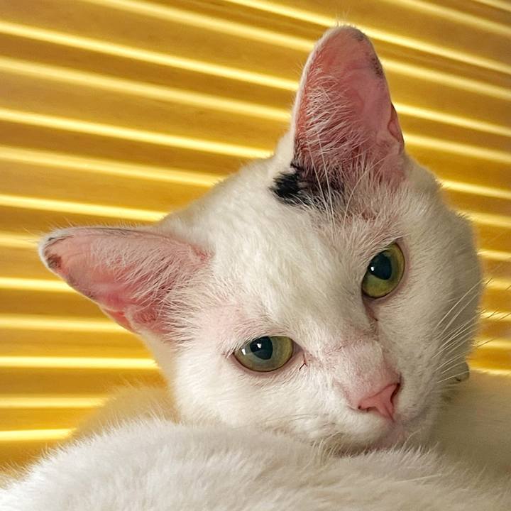 3c956716 02d7 4b96 bddc e7ac03220a7e 1753063913041